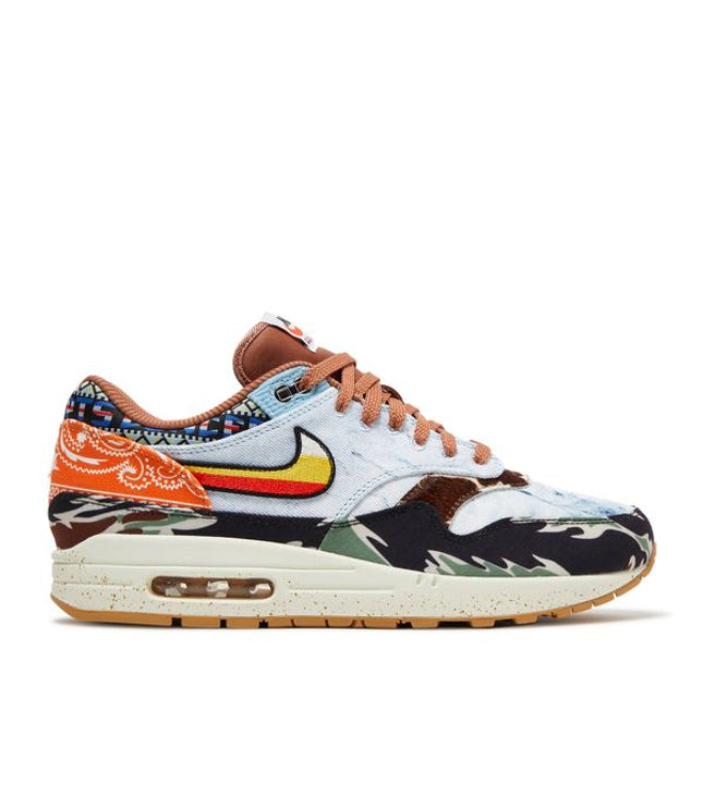 Nike Air Max 1 SP Concepts Heavy