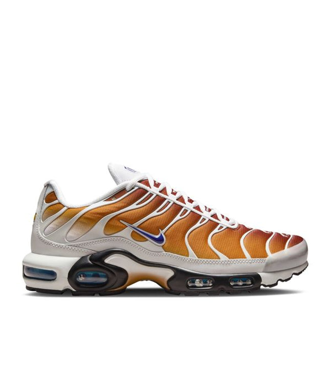 Nike Air Max Plus One Block Down Chutney