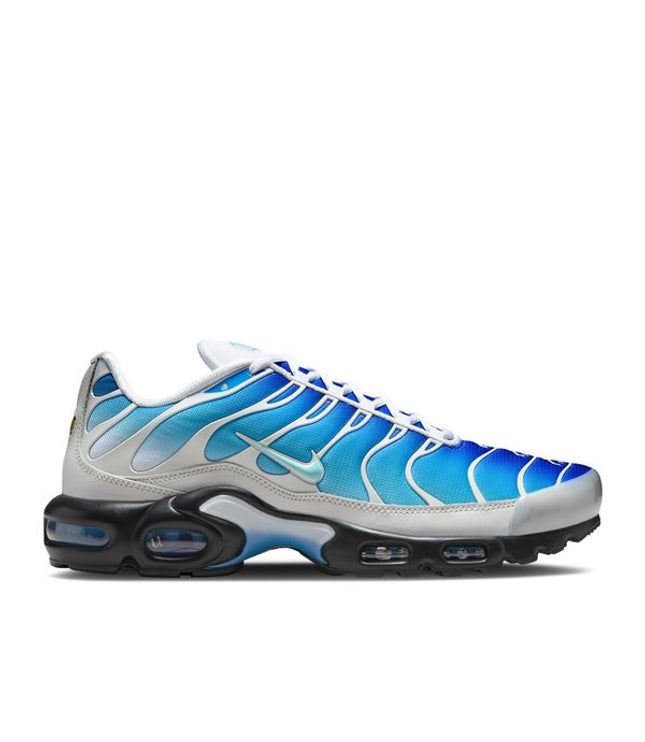 Nike Air Max Plus One Block Down Light Photo Blue