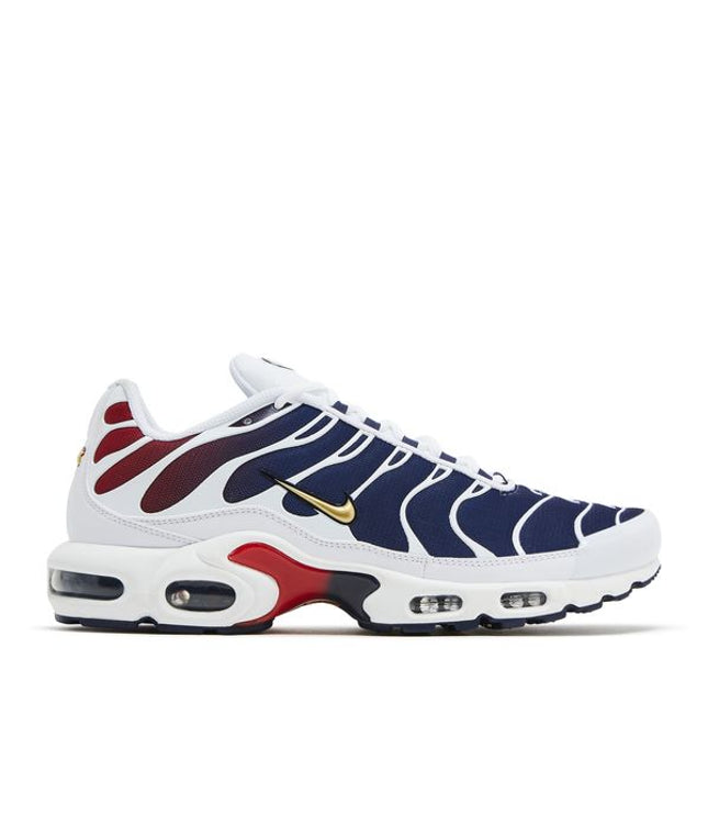 Nike Air Max Plus PSG