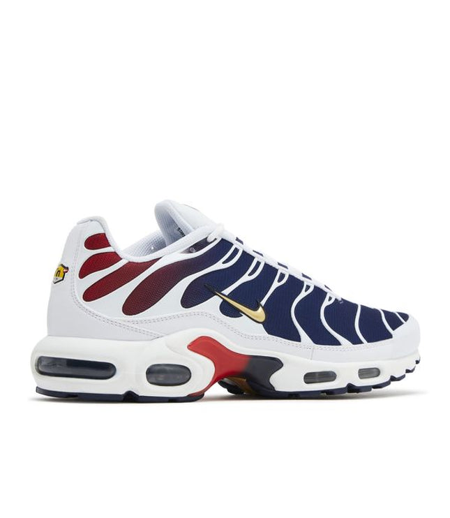 Nike Air Max Plus PSG