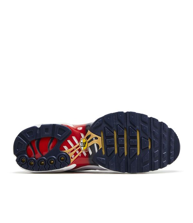 Nike Air Max Plus PSG